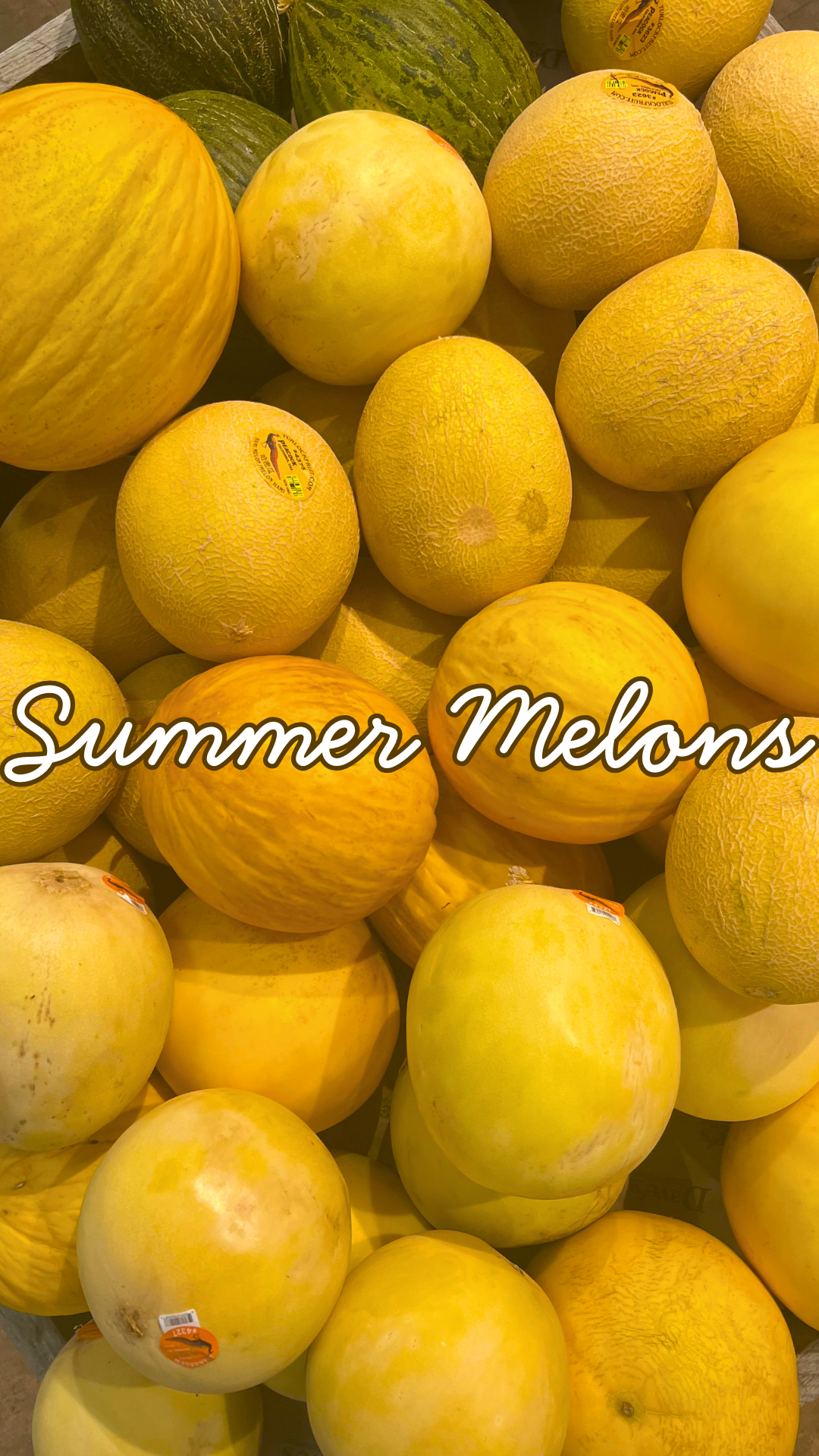 Summer Melons
